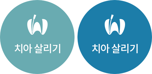 치아 살리기